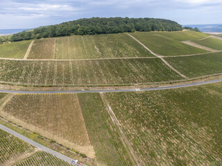 Aerial view on green grand cru vineyards near Cramant and Avize, region Champagne, France. Cultivation of white chardonnay wine grape on chalky soil of Cote des Blancs