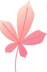 Pink chestnut leaf with gradient colors representing the autumn season, isolated on a white background, ideal for nature themed projects