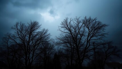 Obraz premium Bare tree branches swaying under dark clouds on a windy night in suburban area, dark clouds, ominous