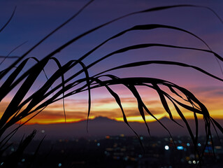 time lapse sunset