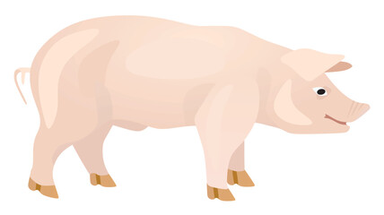White pig isolated. vector illustration