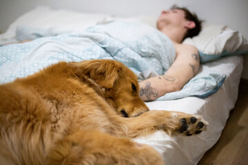 Young man sleeping in the bed with his golden retriever dog