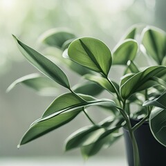 Obraz premium plant in a flowerpot 