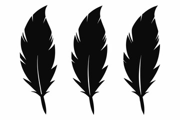 Obraz premium Bird feather silhouette vector set, bird feather icon, vector illustration isolated on white background
