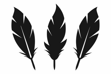 Obraz premium Bird feather silhouette vector set, bird feather icon, vector illustration isolated on white background