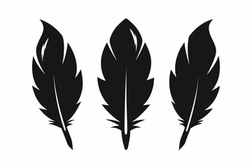 Obraz premium Bird feather silhouette vector set, bird feather icon, vector illustration isolated on white background