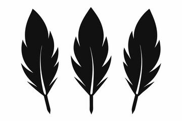 Bird feather silhouette vector set, bird feather icon, vector illustration isolated on white background