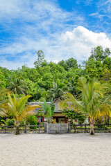 Naklejka premium Plage et cocotiers Madagascar
