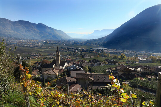 Blick auf Algund im Herbst, S&uuml;dtirol - vista a Lagundo in autunno, Alto Adige