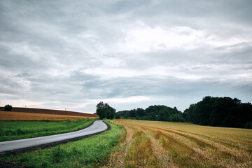 Fototapeta premium the path between the fields
