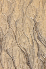Wavy marks in the sand caused by water runoff.