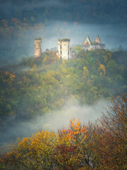 portrait view to autumn landscape with ruins of medieval castle and forest in fog
