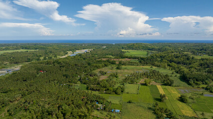 Agricultural land and rice fields in the countryside. Negros, Philippines