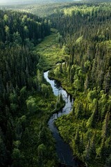Obraz premium Aerial view of a dense forest highlighting carbon emissions capture efforts for environmental sustainability. Concept: 