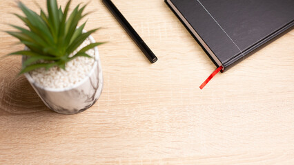 Fototapeta premium Notebook, pen and plant creating a relaxing workspace on wooden table