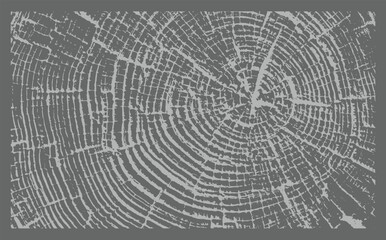 Gray and white leaf print stamp of botanical illustration. Plain leaf sketched art background.
