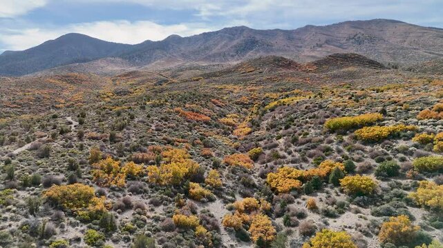 Cold Creek Aerial Footage