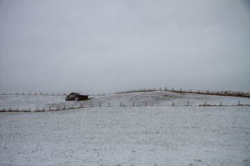 hut in landscape with snow