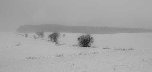 landscape with snow