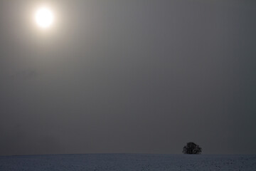 light at a foggy wintery