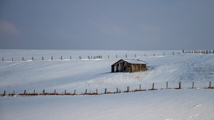 hut in landscape with snow