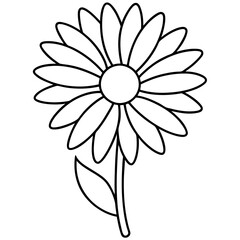 daisy flower line art vector, flower outline vector