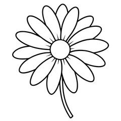 daisy flower line art vector, flower outline vector