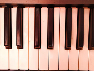 Piano
Black and white piano keys display