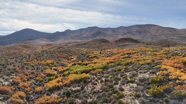 Cold Creek Aerial Footage