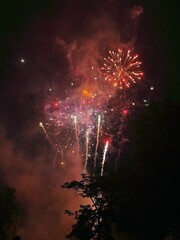 Fireworks in the Night Sky