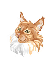 Ginger cat lady portrait