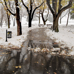Snow in the park and leaves in autumn colors