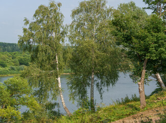 Fototapete bei efototapeten.de bestellen   