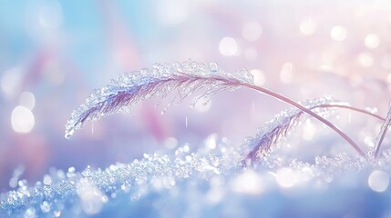 Frosty winter grass stalks with melting ice crystals in soft, dreamy light.