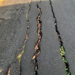 The road is cracked due to shifting of the earth's plates