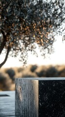 stone product stand on nature background