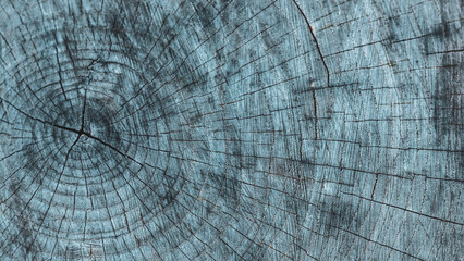 abstract weathered tree ring surface texture background for creative design projects