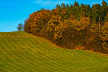 autumn field, autumn forest, beautiful sky