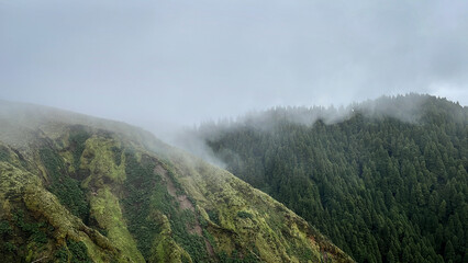 misty morning in the mountains, Portugal, S&atilde;o Miguel Island. 