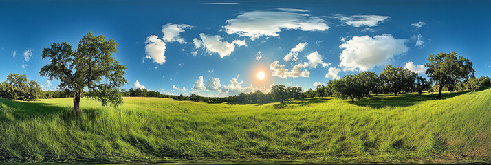 Panoramic Sunny Field with Blue Sky and Clouds
