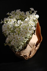 bouquet of white flowers