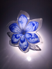 blue flower