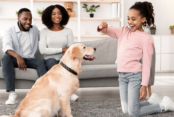 Pet Care And Love Concept. Smiling African American girl playing with dog, feeding labrador with biscuits treats, training at home in living room, mom and dad sitting on sofa, modern house interior