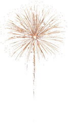 Fireworks isolated on a transparent background, PNG file