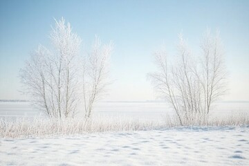 Obraz premium Iriad, fogy dawn (winter landscape, roowy sunrise)