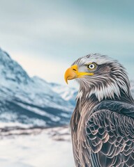 Obraz premium Majestic eagle in snowy landscape. AI.