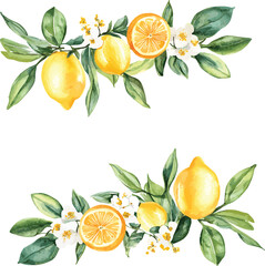 Summer card with flowers and lemon branch. Floral design elements for wedding invitation, label for drinks. Vector illustration. Floral design elements for wedding invitation