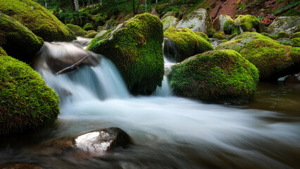 waterfall in the forest
