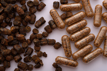 Macro photography of bee bread and biologically active supplement in capsules with bee pollen in high resolution