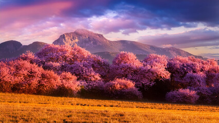 sunset in the mountains